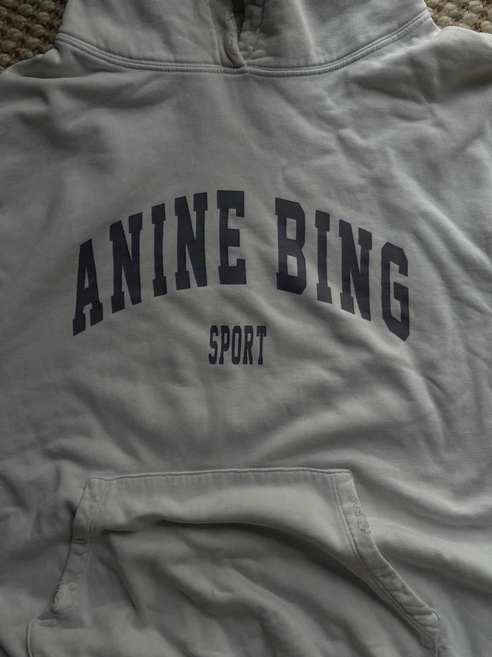Anine Bing Cream Hoodie with Navy Logo